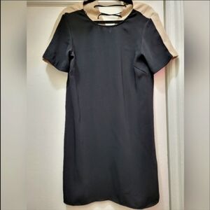 Zara Black and Tan Mini Dress